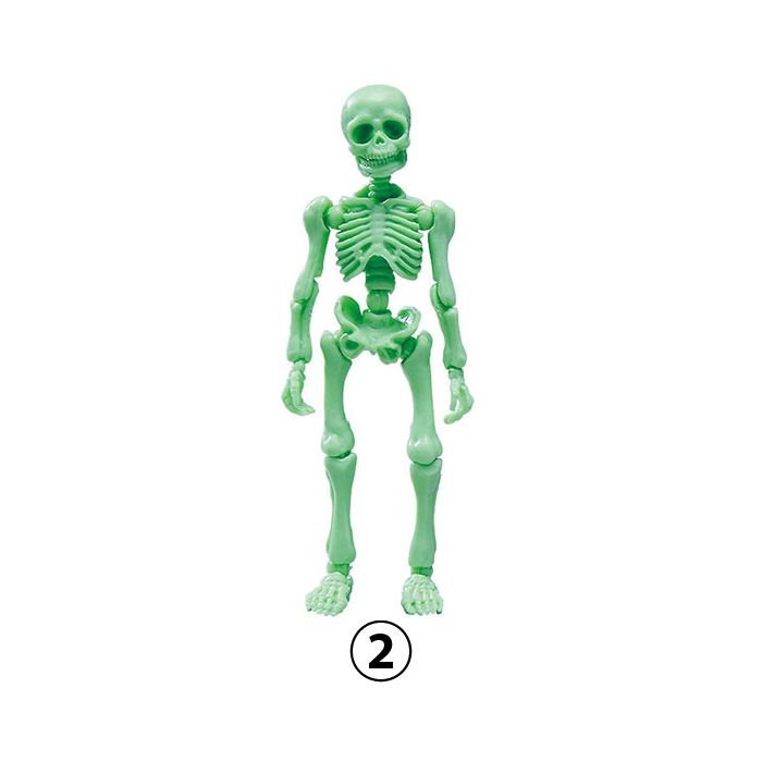 Re ment skeleton top