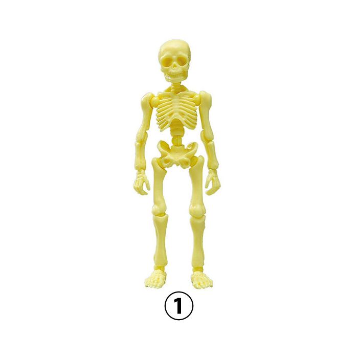 re-MENT Pose Skeleton フィギュアセット Amazon.com: Re-Ment Pose Skeleton Human 01 moveable 1/18